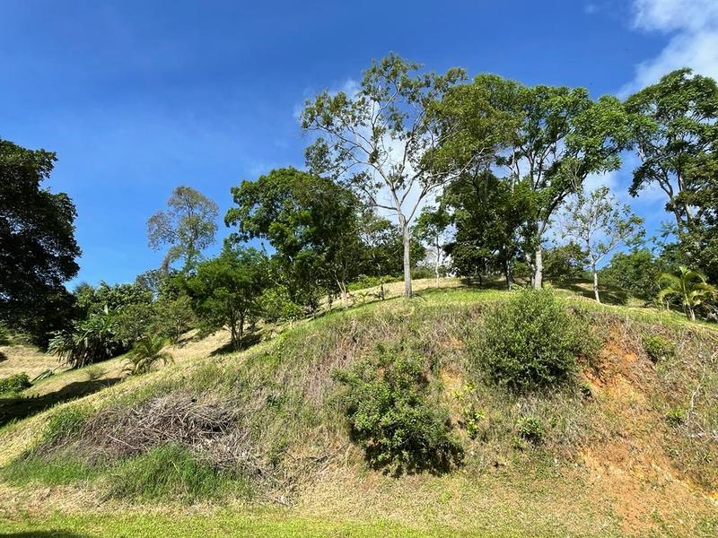 Land For Sale in Atenas | Costa Rica